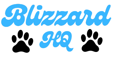 Blizzard HQ